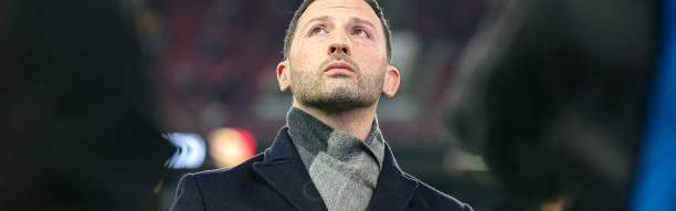 世预赛投注-王勤伯：泰代斯科如何快速改变了比利时队？