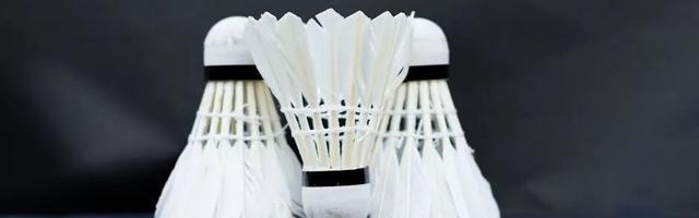 世预赛下注-羽毛球价格涨疯了！背后推手竟是猪肉？