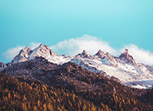 世预赛买球-羽毛球马来西亚公开赛 王祉怡0-2不敌头号种子获得亚军